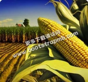 打造安全可靠的体育互动体验 - 体育资讯